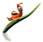 Preview: Orchideenstab, Blatt mit Schnecke -bunt- (normale Ausf.)